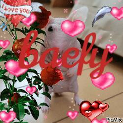 baefy