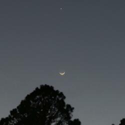 AUTUMN (feat. Scoe.ent)