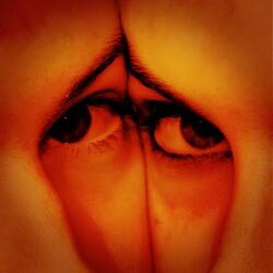 The Watcher