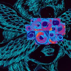 Surrounded (By The Flies)