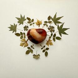 Life and Death (feat. Anabell J)