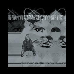 Cat china transfer