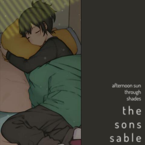 Afternoon Sun through Shades, Pt. 1