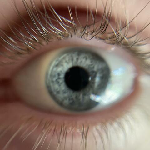 till the world blows (feat. btwbrandon)