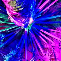 Xmaseves (Merry Christmas, Now I'm Leavin')