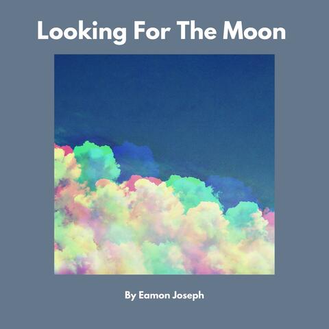 Looking For The Moon
