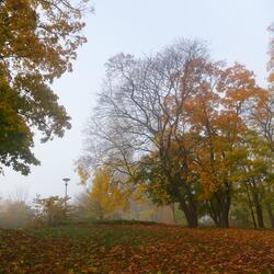 Spectres of Parks