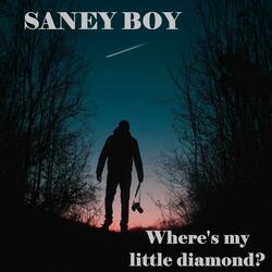 Where's My Little Diamond