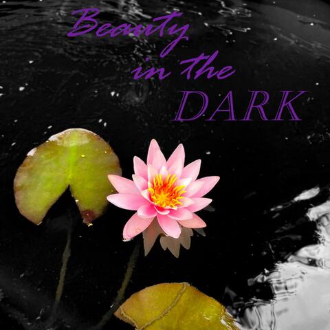 Beauty in the Dark