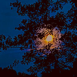 MoonRide