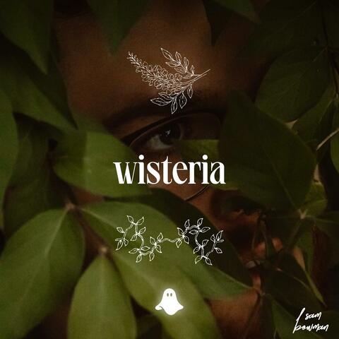 wisteria
