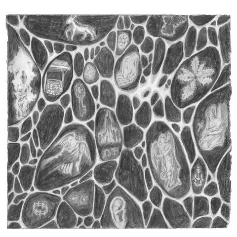 Optic Nerve