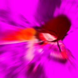 Watch Me (feat. richxrdmille)