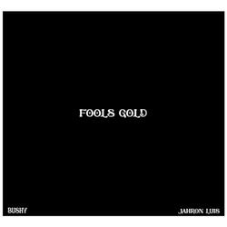 Fool's Gold (feat. Bushy)
