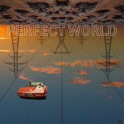 PERFECT WORLD