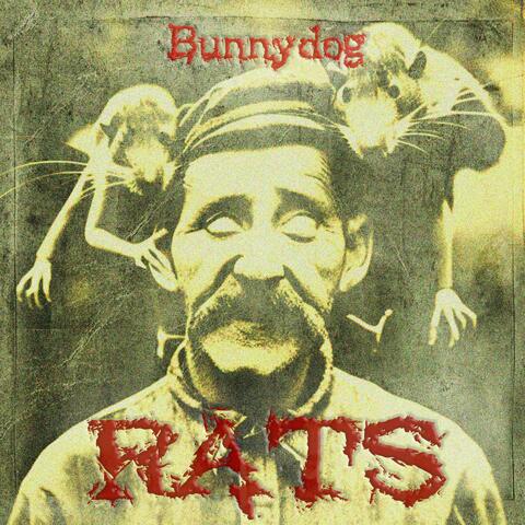 Rats
