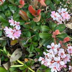 Kimberly is Beautiful