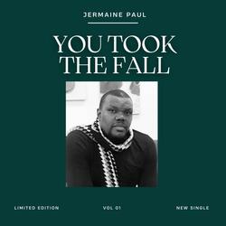 You Took The Fall