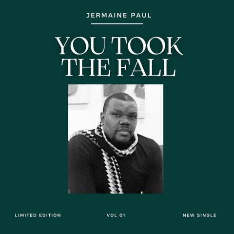 You Took The Fall