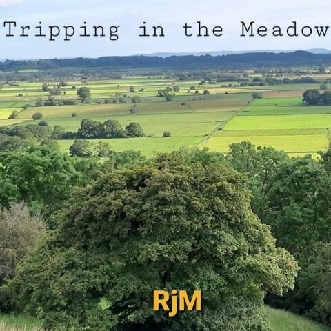Tripping in the Meadow