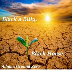 Black Horse
