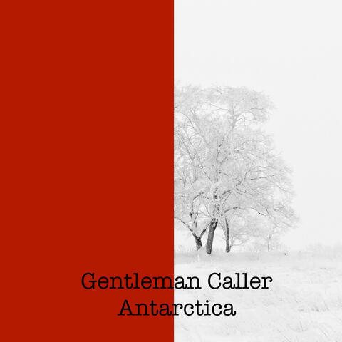 Gentleman Caller