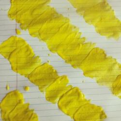 The Yellow Nomination