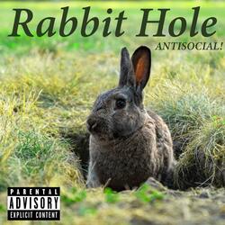 Rabbit Hole