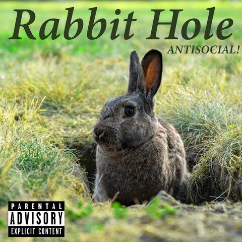 Rabbit Hole