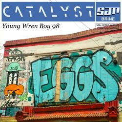 Young Wren Boy 98