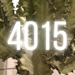 4015