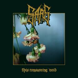 This Consuming Void