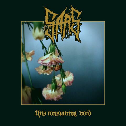 This Consuming Void