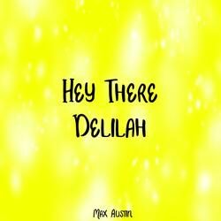 Hey There Delilah (Plain White T's)