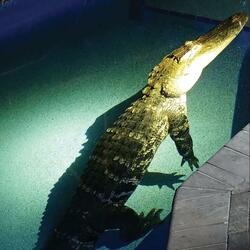 âmmit (feat. jaza & eyto)