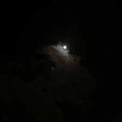 Trap Spot (feat. Slyy)