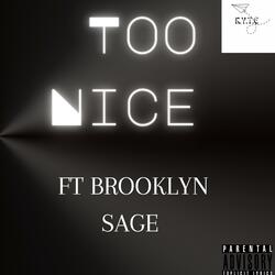 TOO NICE (feat. Brooklyn Sage)