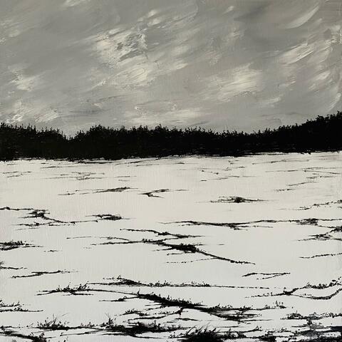 Echoes On A Windswept Plain