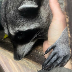 Ode to My Future Killer