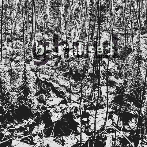 brutalised