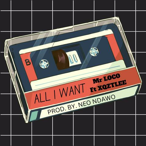 All I want (feat. XQZTLEE)