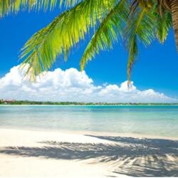 There's No California