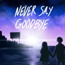 NEVER SAY GOODBYE (feat. yuronono)