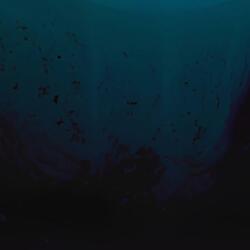 The Abyss Stares Back (feat. Zantero)