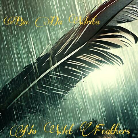 No Wet Feathers (feat. Deacon Flame & YSM DEEZY)