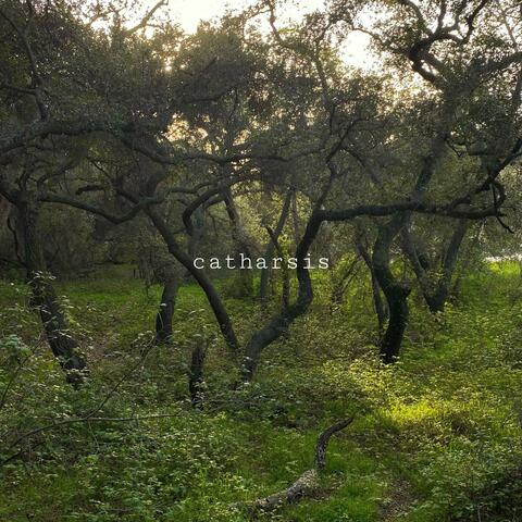 catharsis