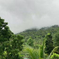 Morning Meditation