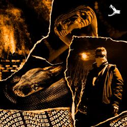 Wer gehn will kann gehn