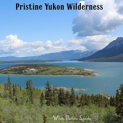 Pristine Yukon Wilderness