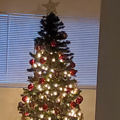 Christmas In Fontucky